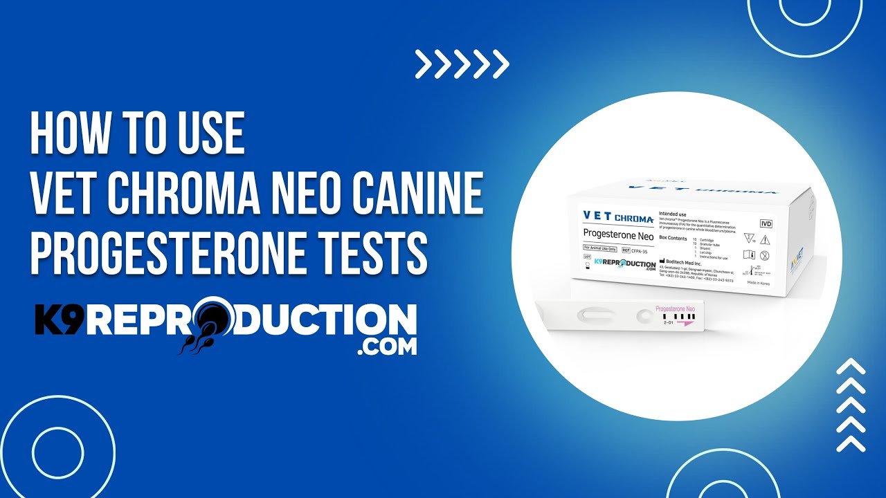 How to Use Vet Chroma Neo: A Detailed Overview Explained