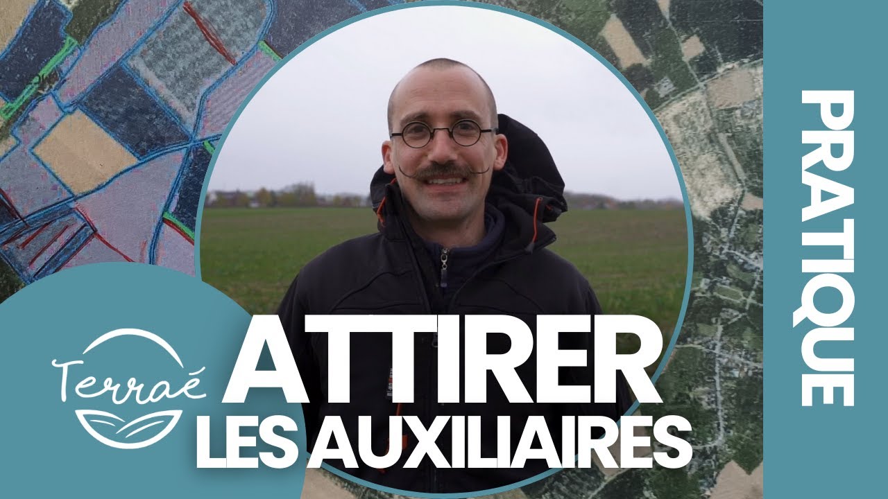 Construction d'un maillage écologique sur une plaine agricole