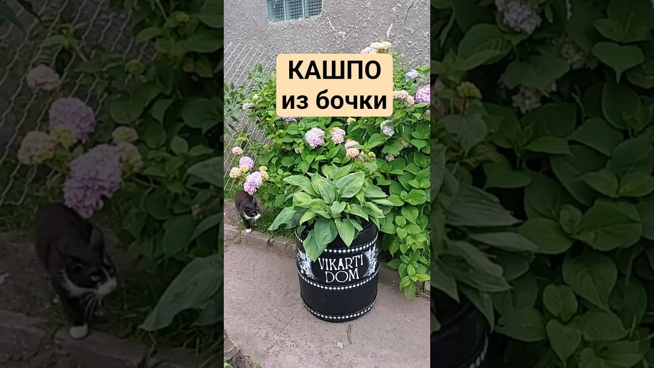 Кашпо из старой бочки      #diy #творчество #сделайсам #handmade #wood #woodworking