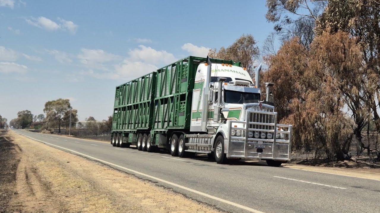 Truck spotting in Victoria 