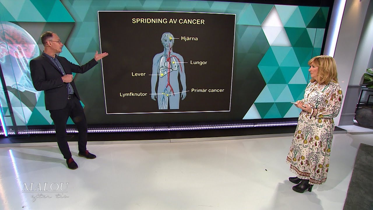 Så sprids cancer - Malou Efter tio (TV4)