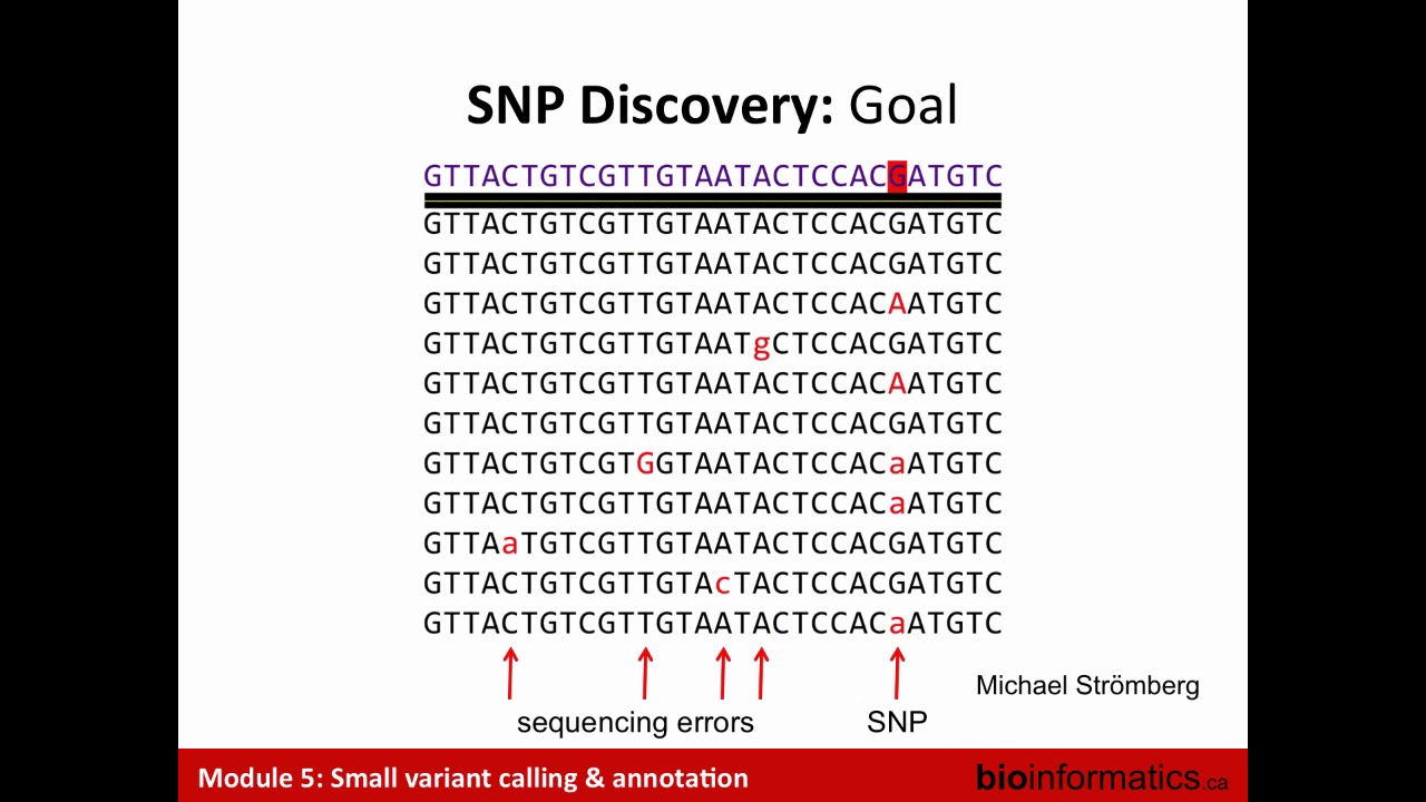 Genome Variation