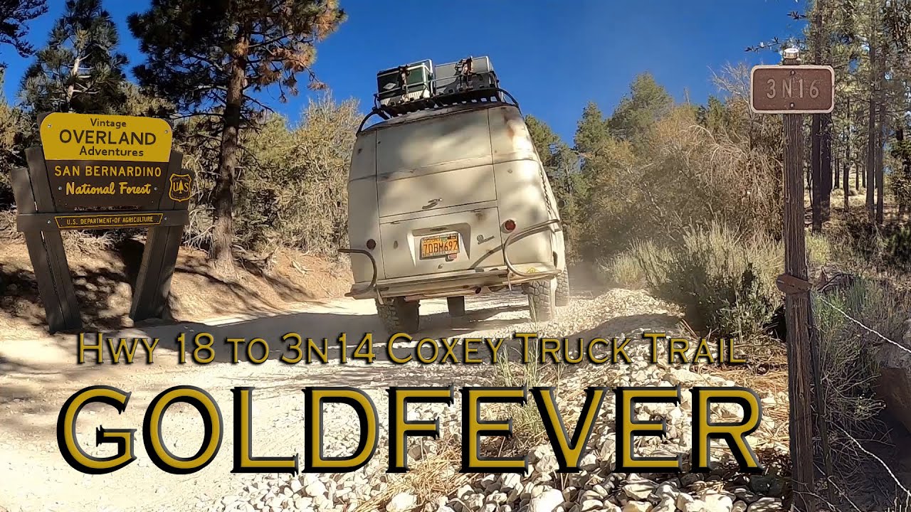 VW BUS Gold Fever ! Vintage Overland Camping Adventure Big Bear CA 3n16 Trial