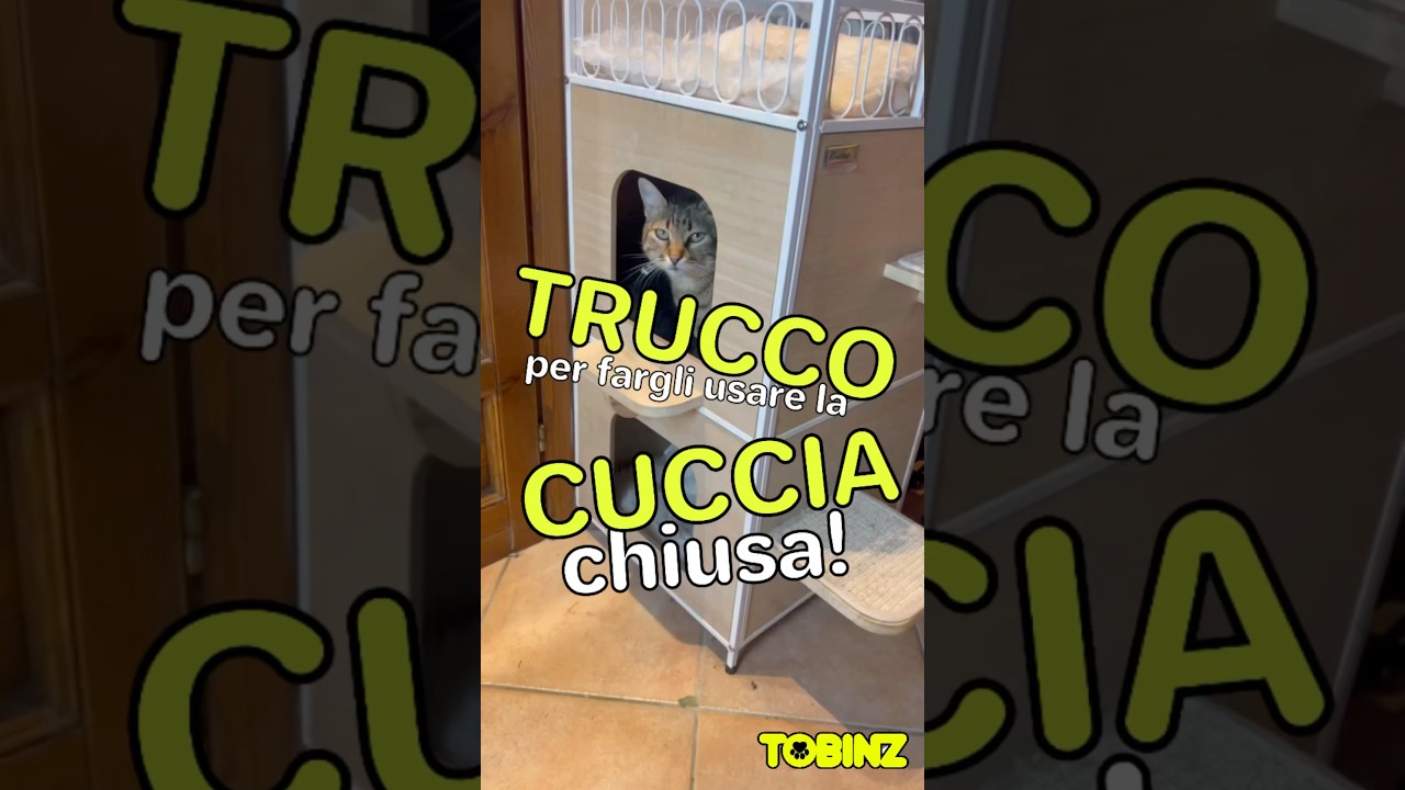 TRUCCO per fargli usare la CUCCIA chiusa!