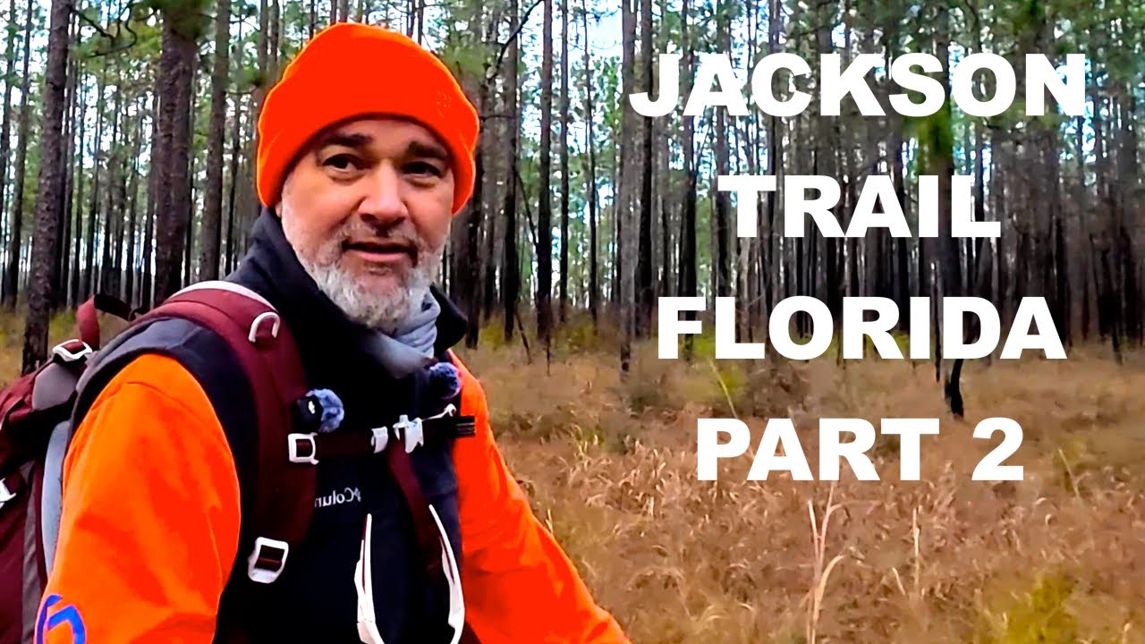 Джексон Трейл, Флорида. Часть вторая.