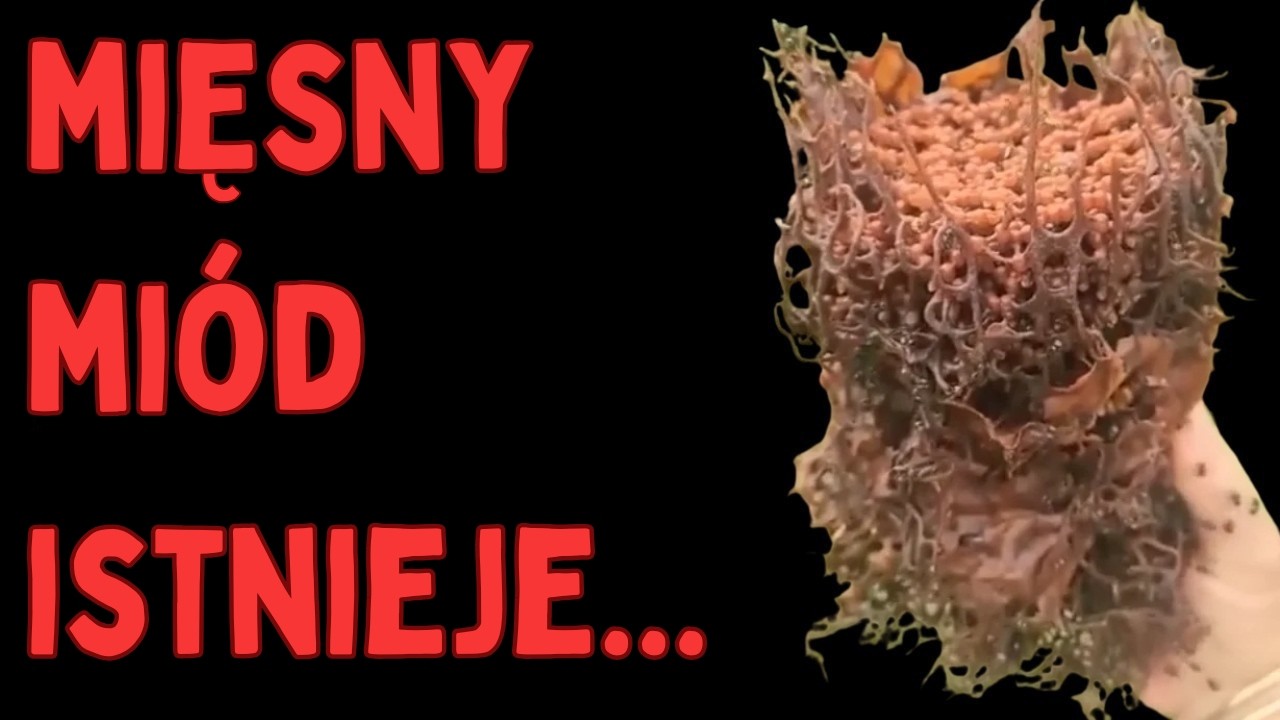 Te pszczoły produkują mi&oacute;d... Z MIĘSA