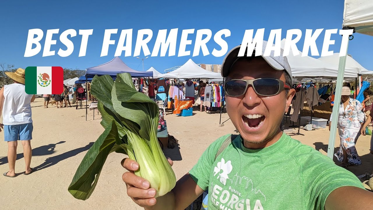 LA VENTANA FARMERS MARKET | Things to do in Baja California Sur Mexico