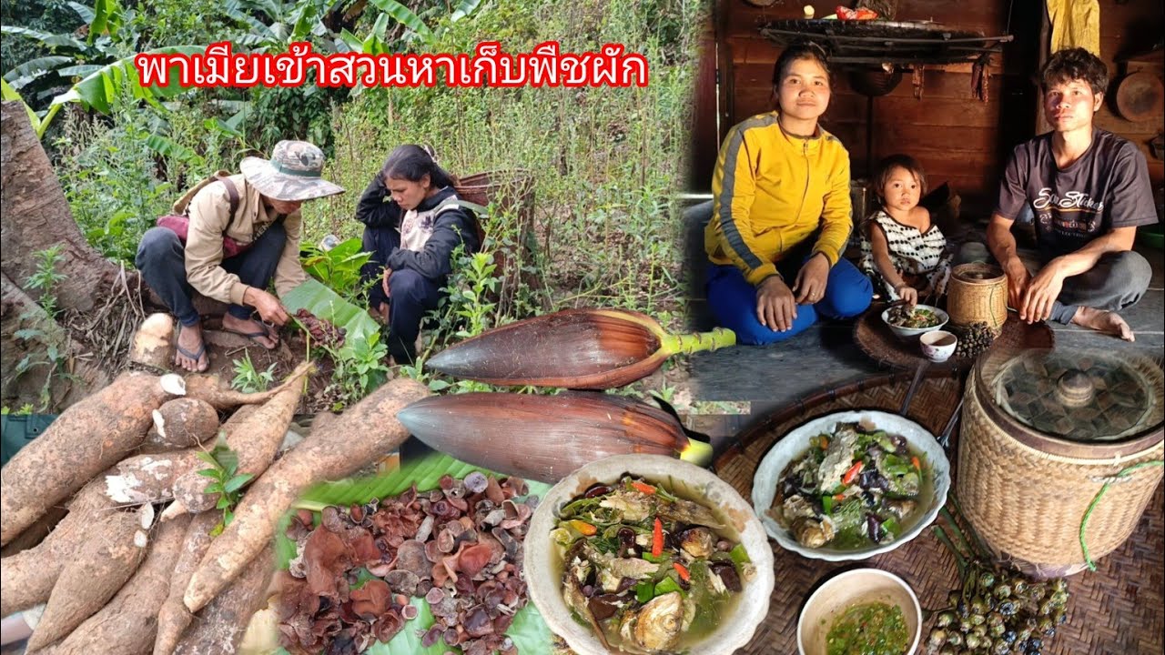 พาเมียเข้าสวนเข้าป่าหาเก็บพืชผัก แล้วกลับมาทำกับข้าวสู่ลูกเมียกินกัน ชีวิตคนในชนบท-บ่าวยืง