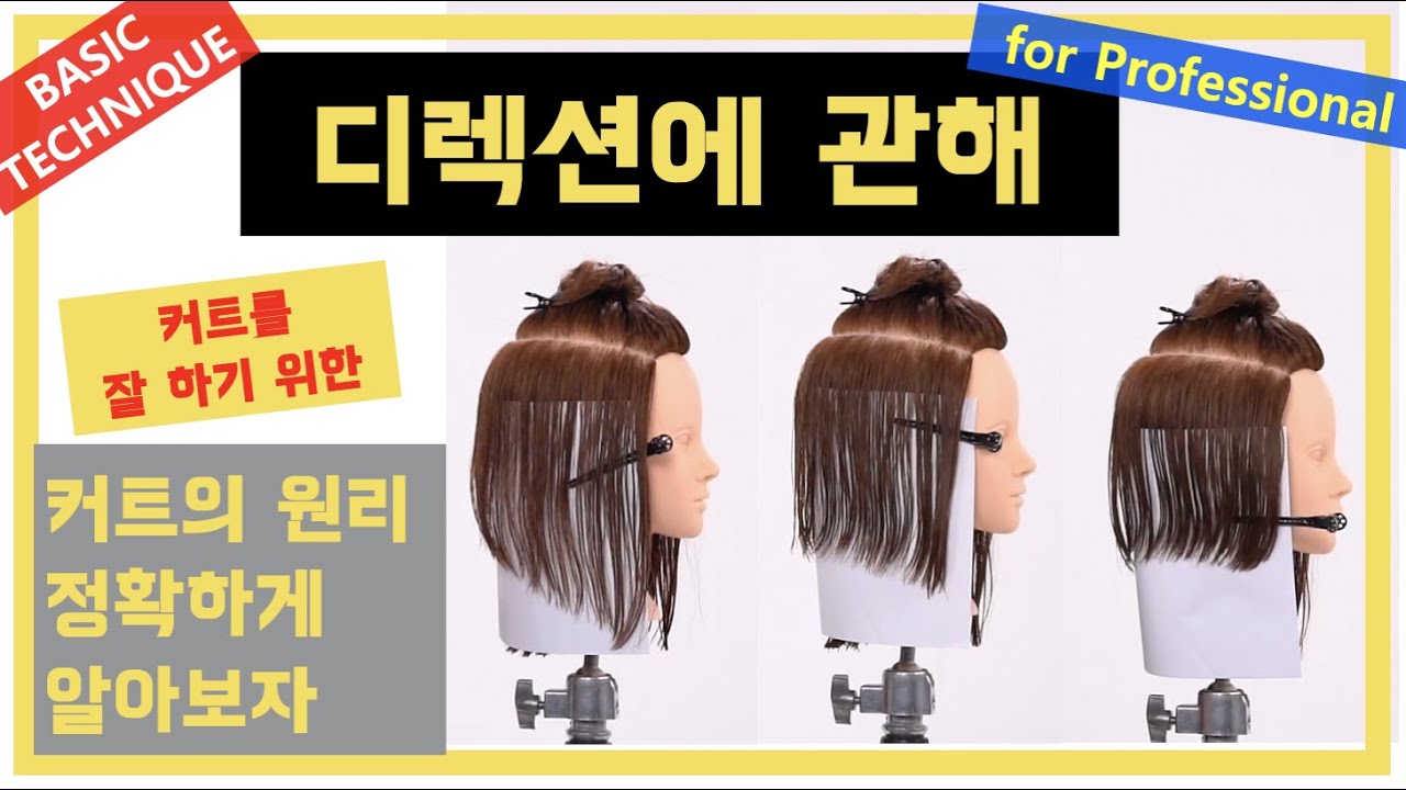 그래서 얼마나 당겨야 하는데?? 밀고 당기는 디렉션을 제대로 알아보자  콜로소 강의 중 하나를 오픈합니다