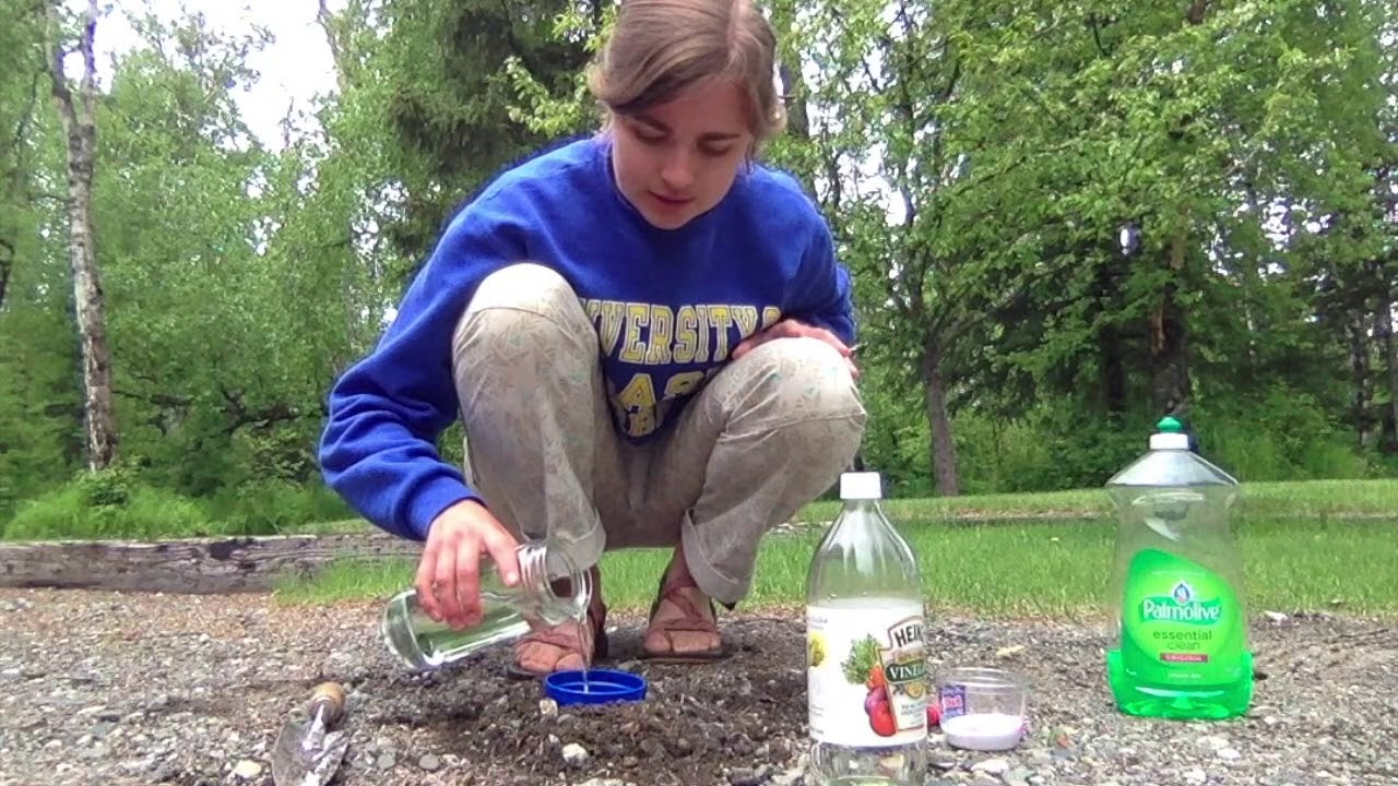Baking soda + vinegar volcano