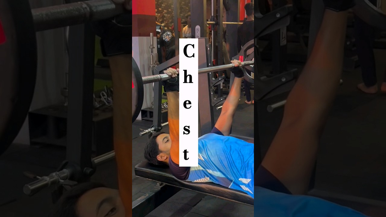 Impressive exercise chest 