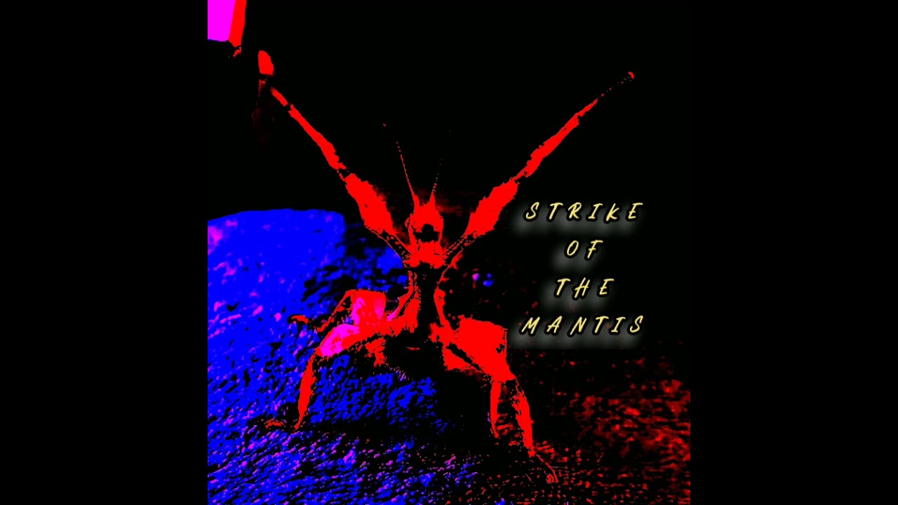 Strike Of The Mantis