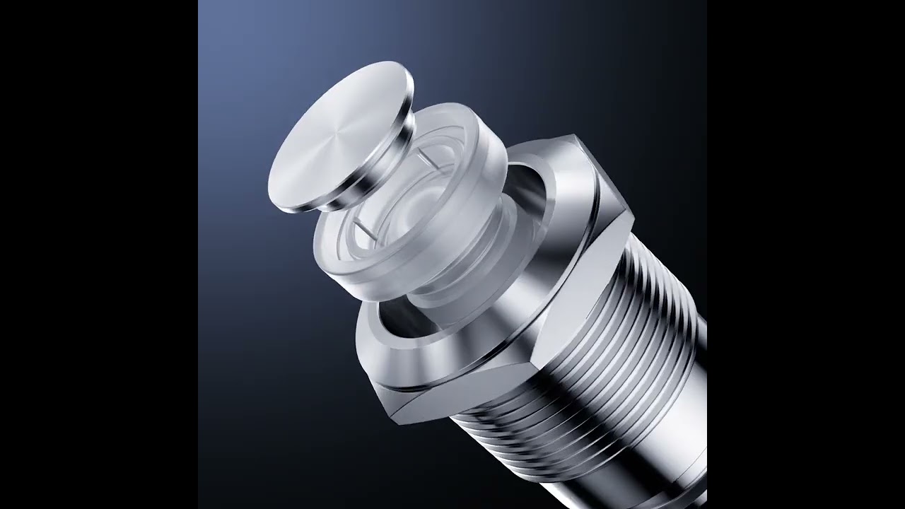 LAS1-AGQ    19mm Metal Push Button Switch