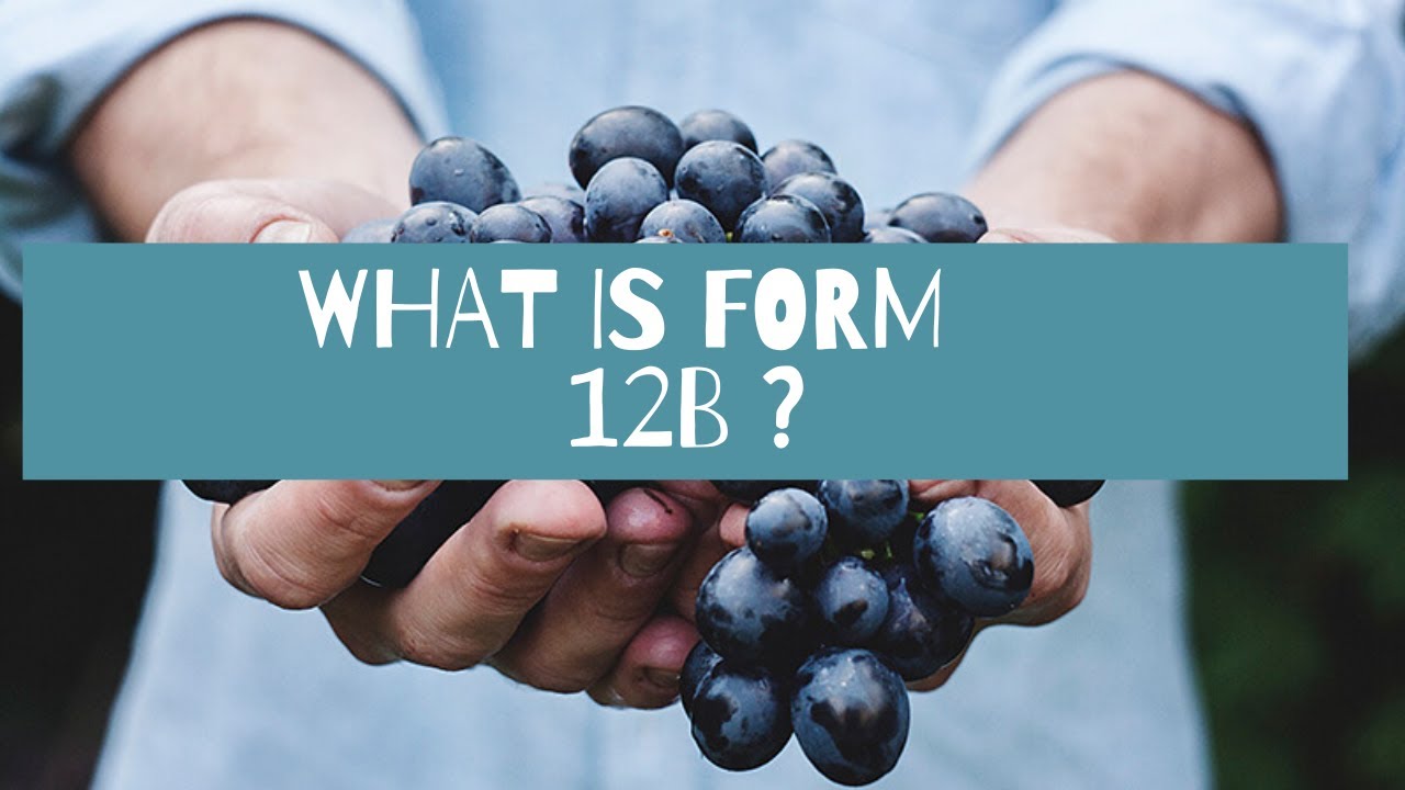 What is Form 12B