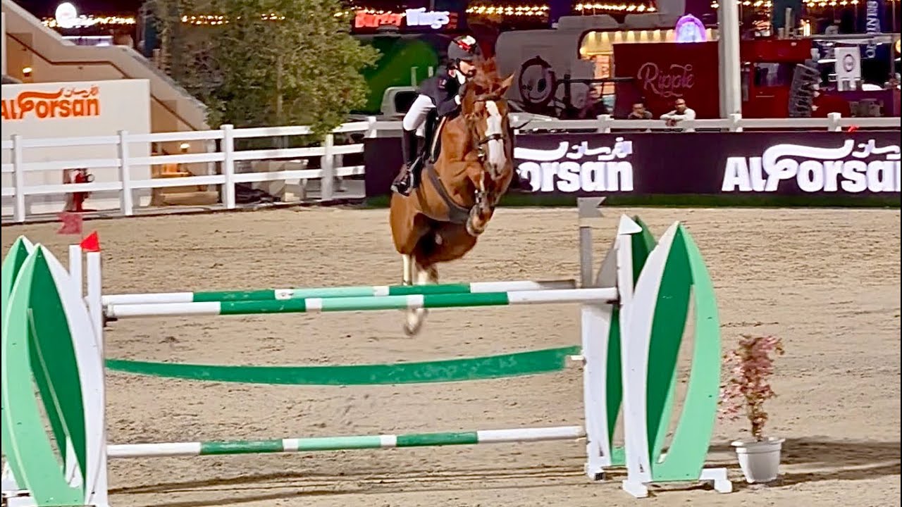 Diva DXB (Ogano Sitte x Calvaro Z) Elegance in motion, the ultimate showjumping dance partner!! 🕊️💎🪽