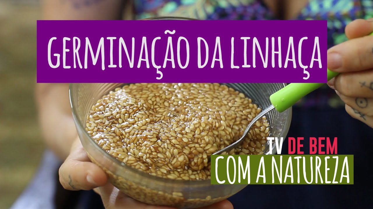 TV de BEM com a Natureza - Germinação da Linhaça