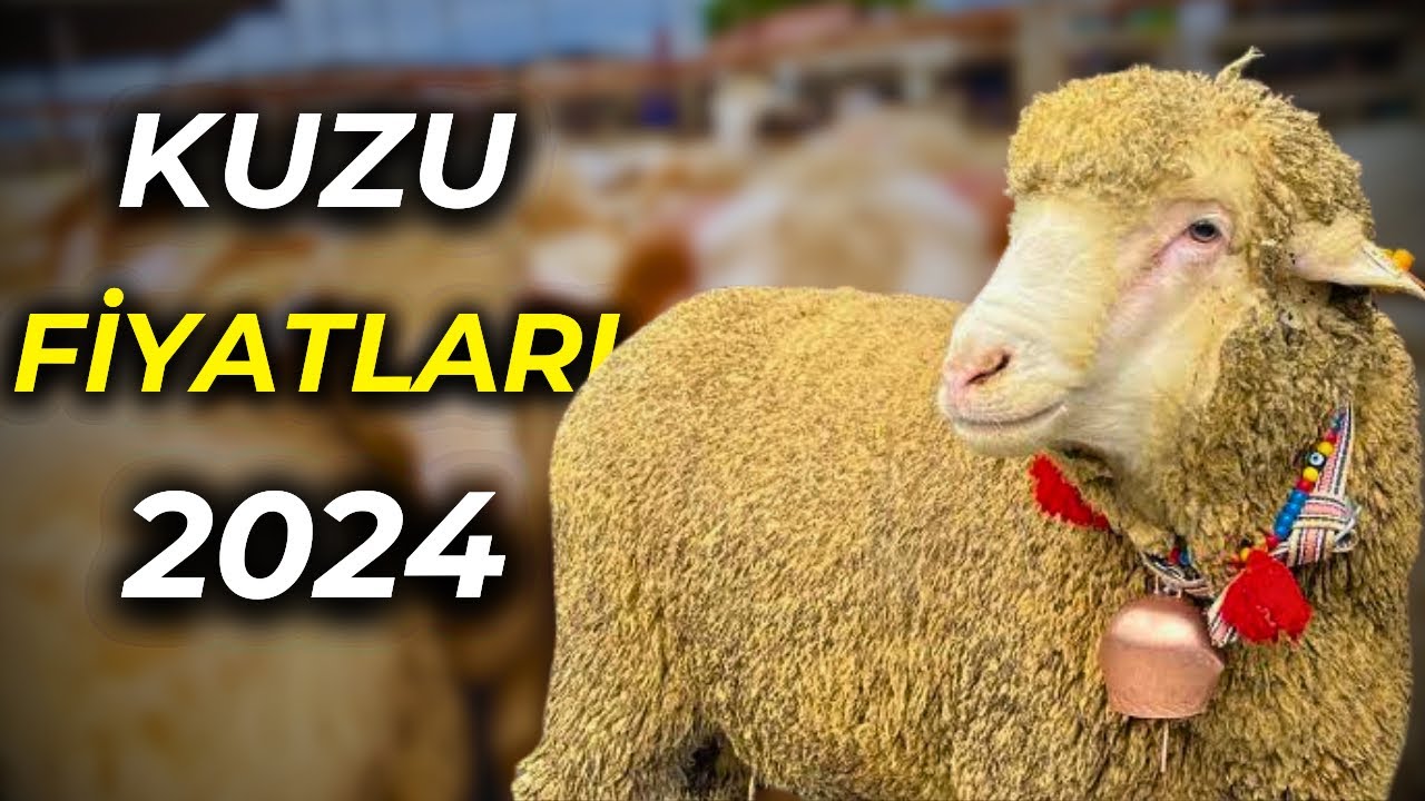 BALIKESİR'in EN BÜYÜK KÜÇÜKBAŞ HAYVAN PAZARI | ŞOK FİYATLAR ve FIRSATLAR