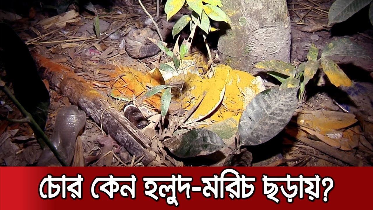 সিরিয়াল চোরের সিরিয়াস কৌশল! | Crime Scene | EP 73