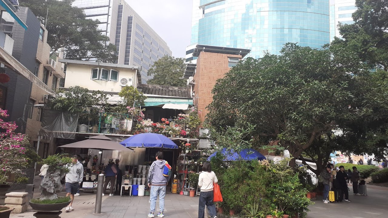 Suasana di bawah kaki gunung Hongkong 
