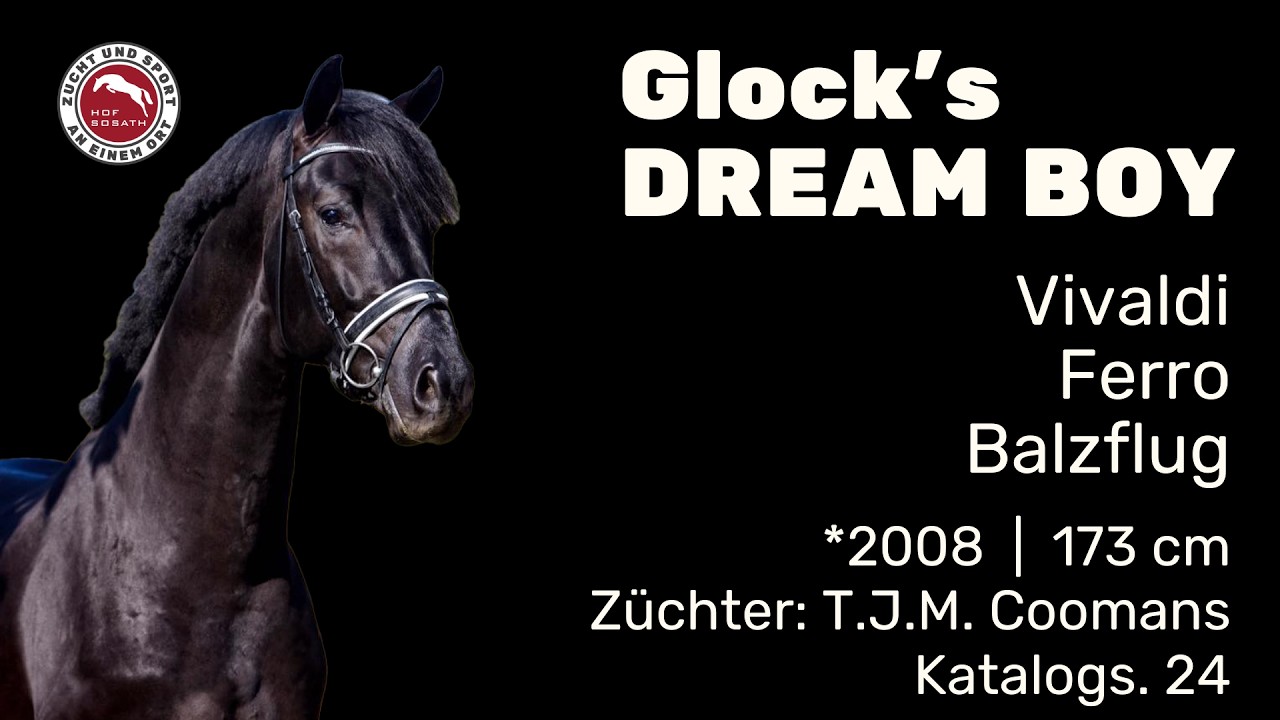 Glock's Dream Boy - Hengstschau 2026