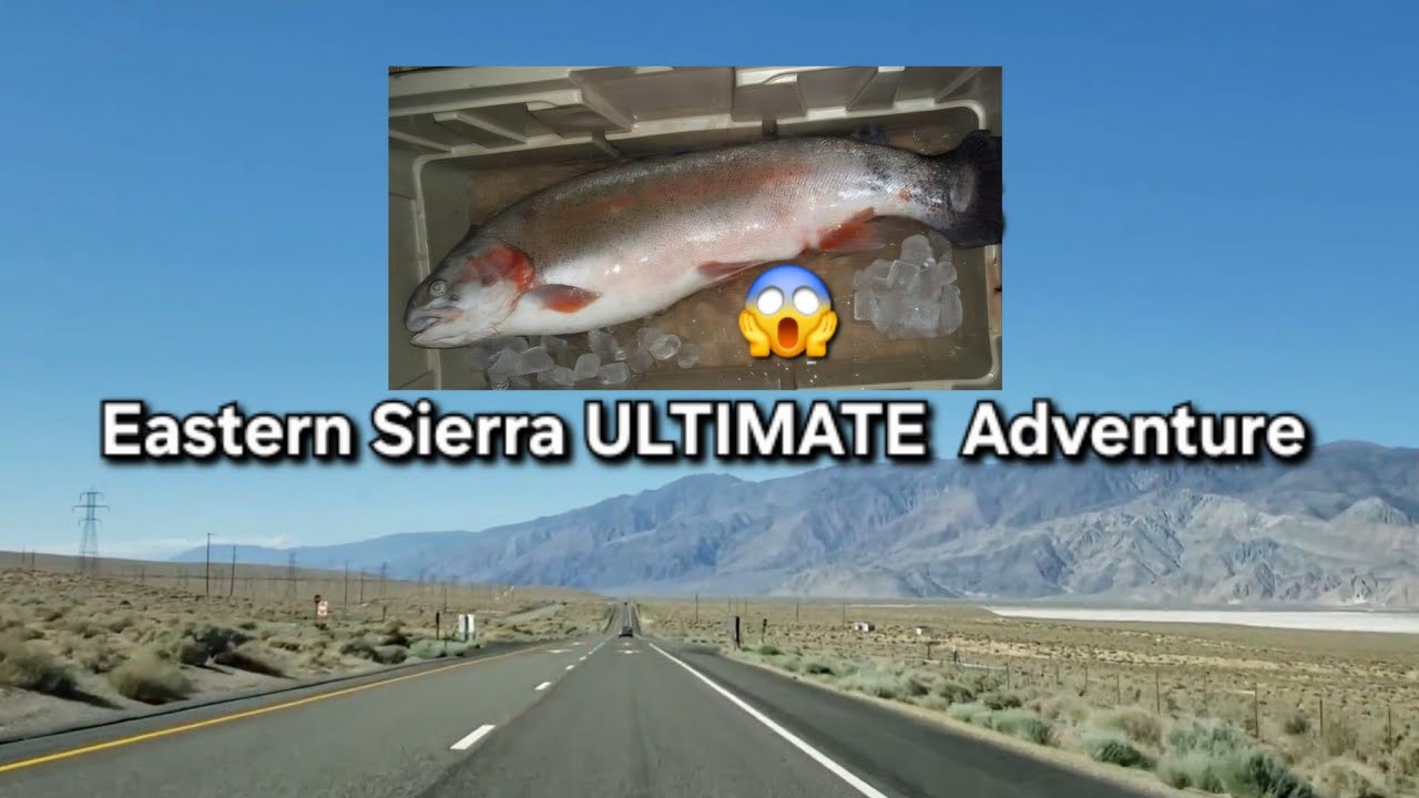 California Highway 395: BEST Road Trip & Trout Fishing 