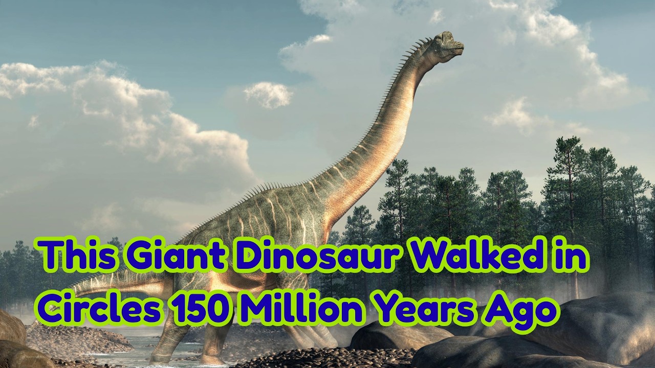 This Giant Dinosaur Walked in Circles 150 Million Years Ago – Scientists Uncover Its Secrets