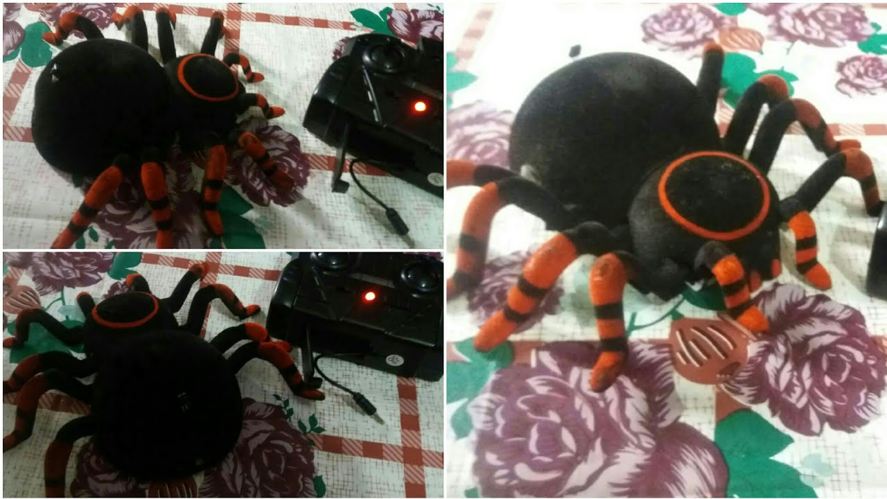 WALL CLIMBING RC SPIDER .😍