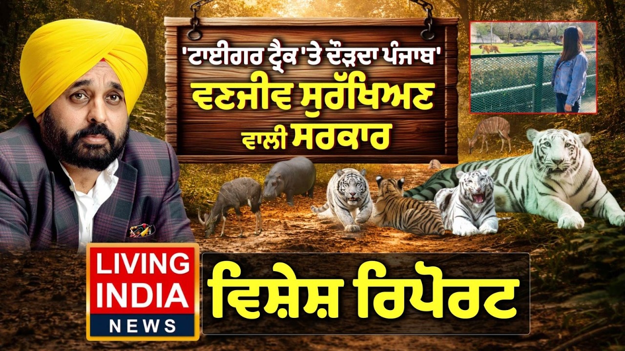 'ਟਾਈਗਰ ਟ੍ਰੈਕ 'ਤੇ ਦੌੜਦਾ ਪੰਜਾਬ', ਵਣਜੀਵ ਸੁਰੱਖਿਅਣ ਵਾਲੀ ਸਰਕਾਰ |Punjab Government |CM Mann |Special Report