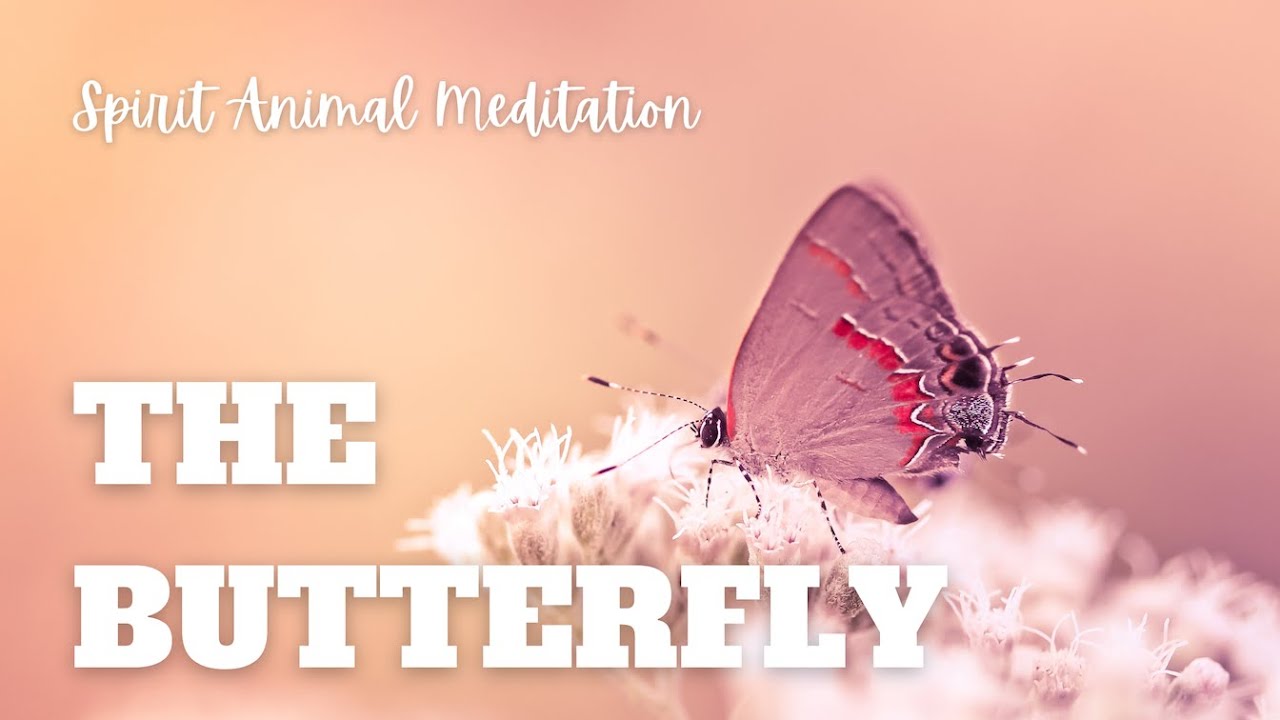 Butterfly Spirit Animal Meditation: Embrace Transformation and Lightness in 20 Minutes