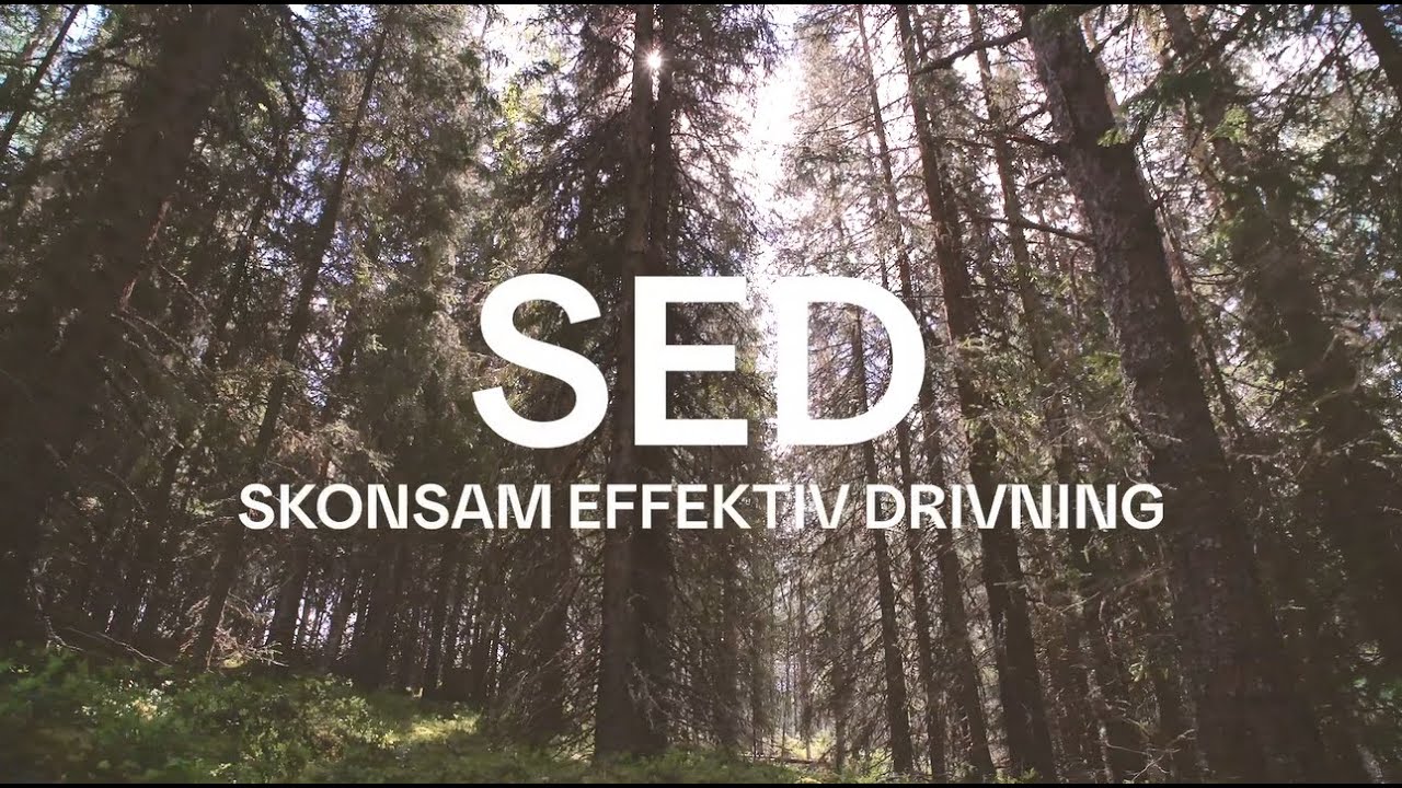 SED - Skonsam effektiv drivning i SCAs föryngringsavverkningar