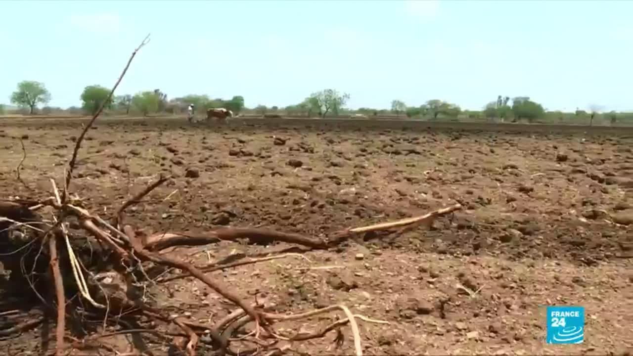 Water shortages in India due to record heatwave