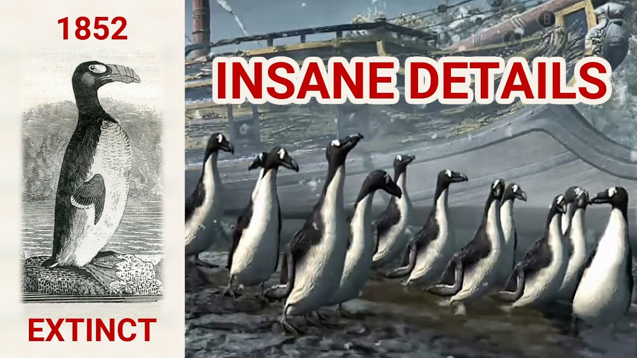 Insane Details, The Great Auk, Extinct Penguins in Assassin's Creed Rogue
