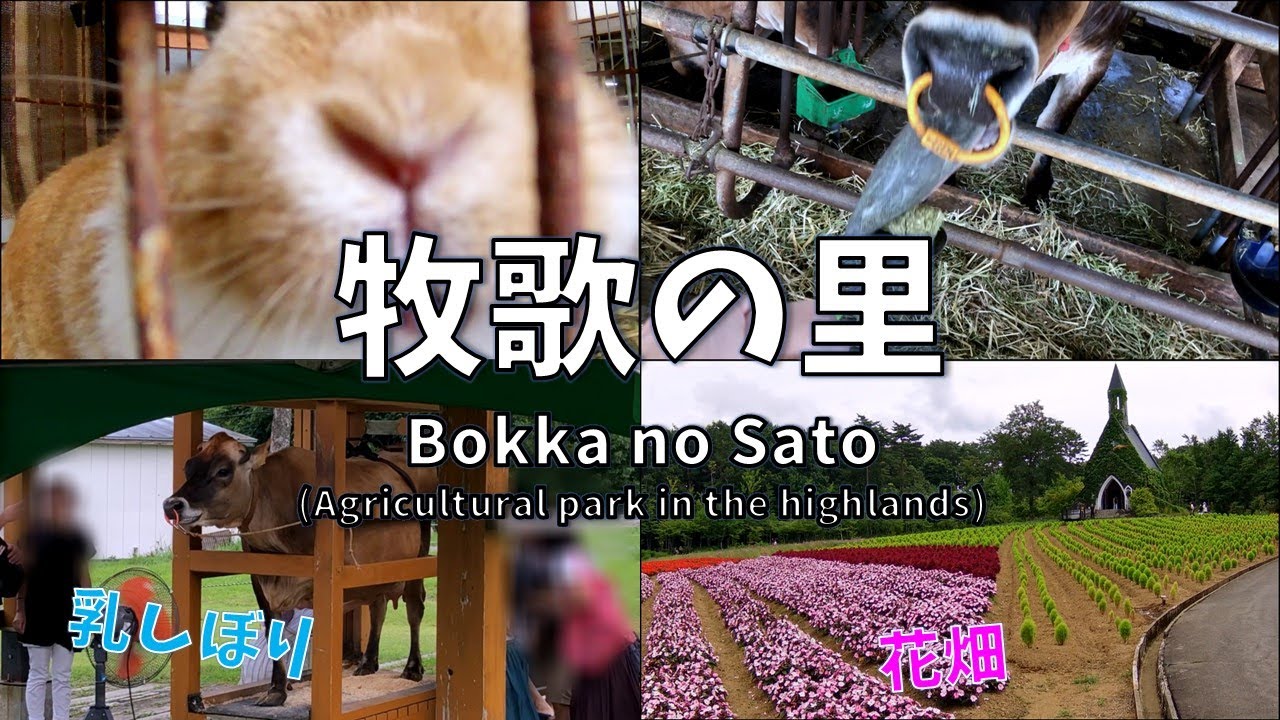 牧歌の里 ひるがの高原の牧場で楽しむ