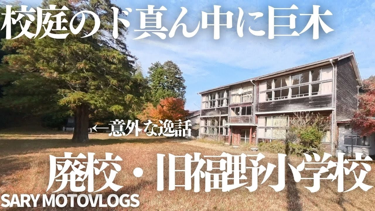 【謎の一本杉】校庭のど真ん中にそびえ立つ杉の木の理由が意外で感動した！　旧福野小学校