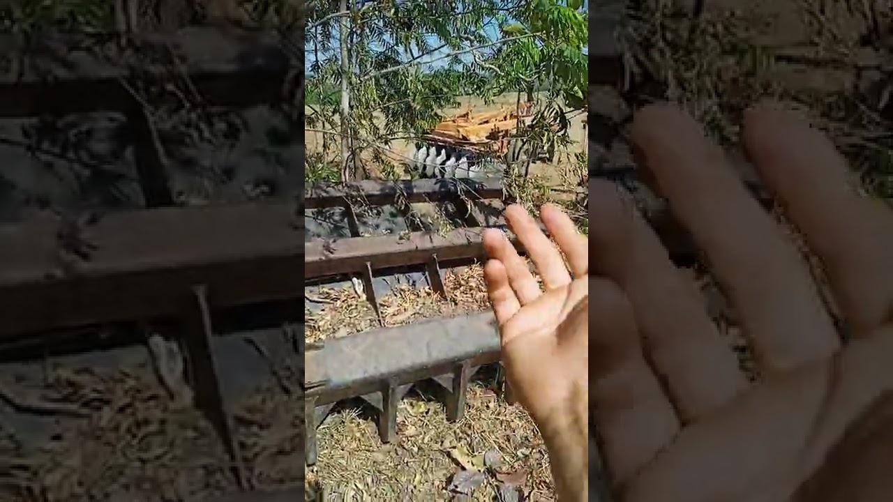 O Garfo enleirador da SDLG L936