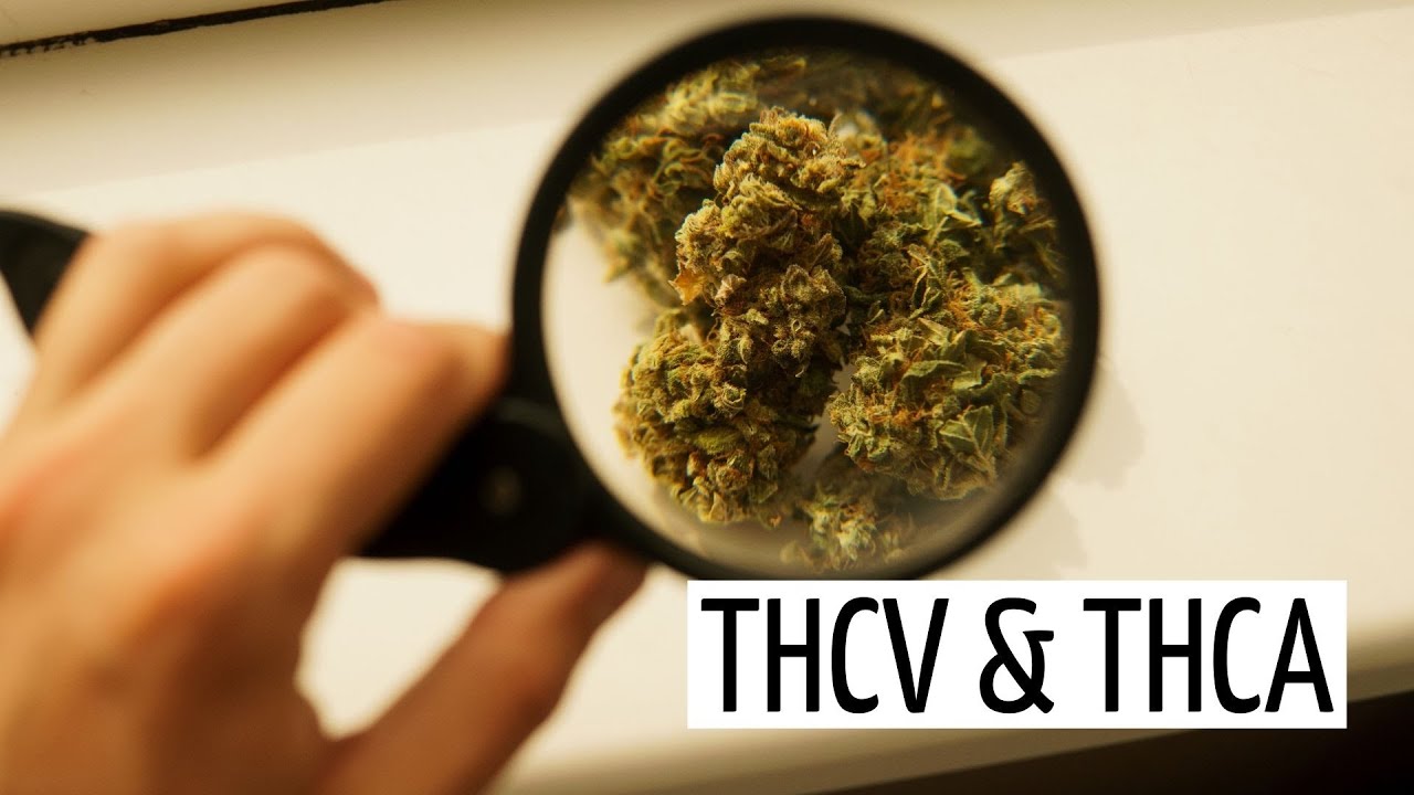 All About THCV & THCA