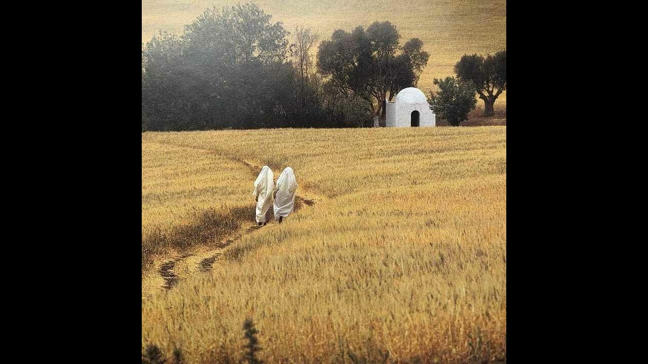 الشابة زاهية التيارتية