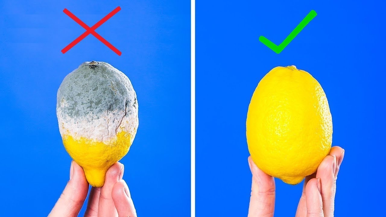20 TRUCOS PARA MANTENER TU COMIDA MÁS FRESCA