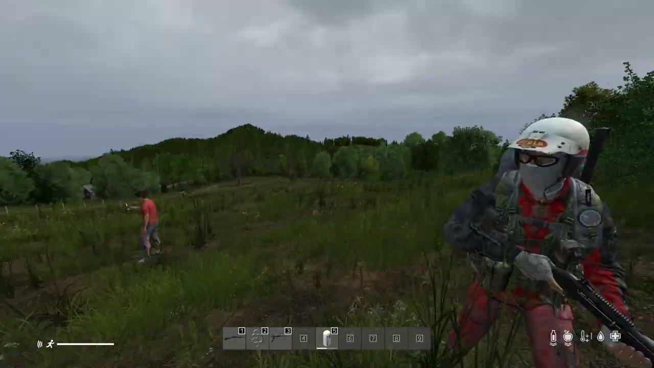 Dayz - Funny moments