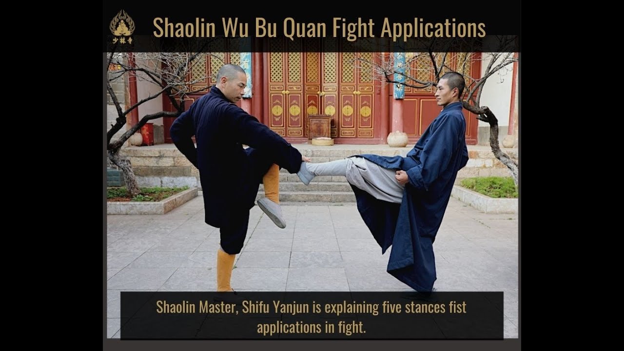 Shaolin Wu Bu Quan (少林五步拳) - Five Stances Fist - Fight Applications