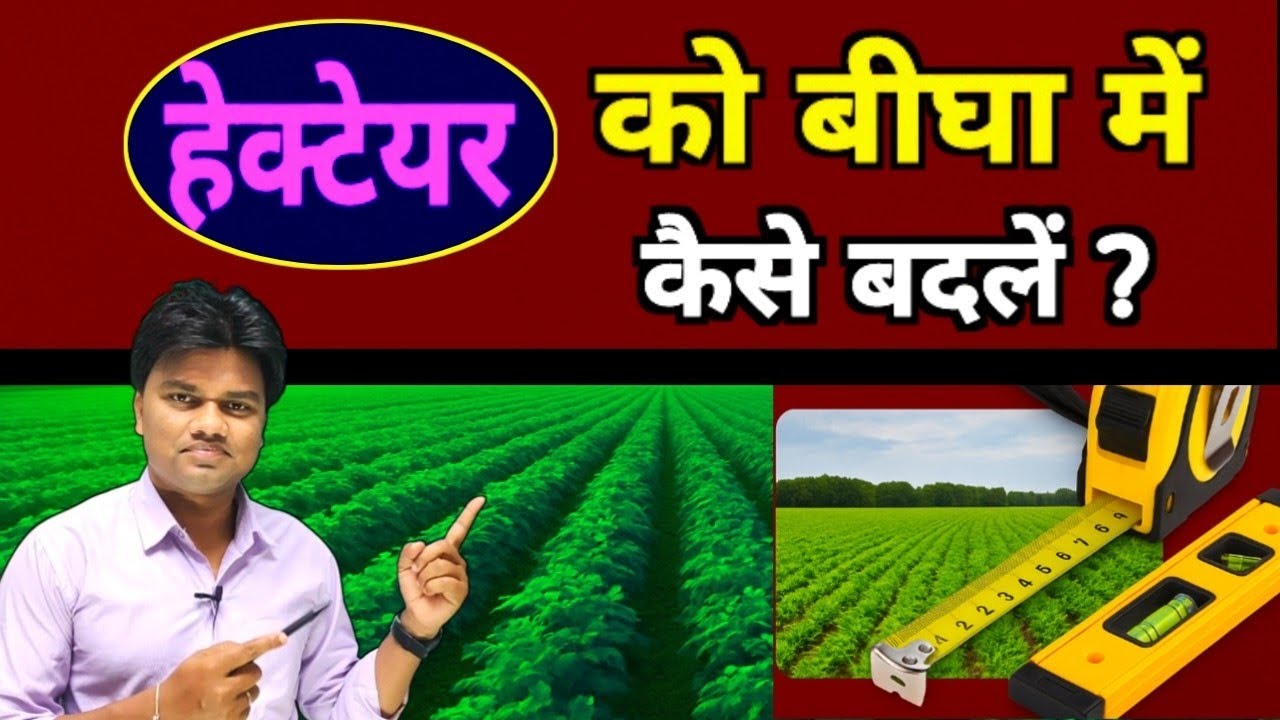 हेक्टेयर को बीघा/ बिस्वा/ धूर में कैसे बदलें ? सबसे आसान तरीका। Hectare in bigha ll