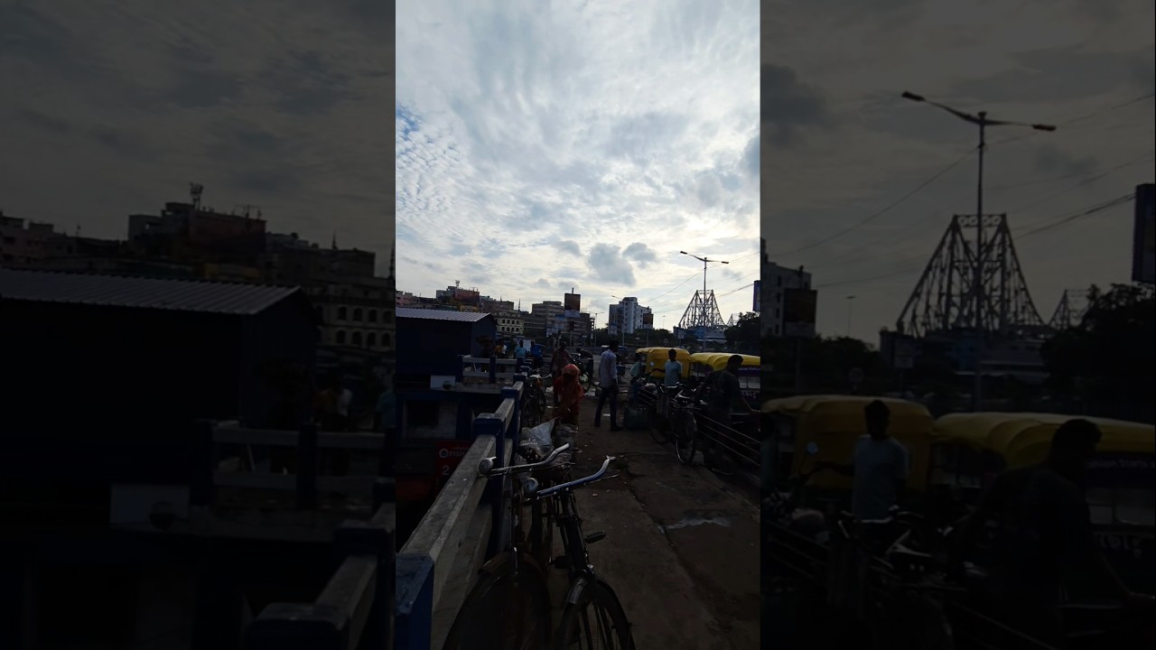 howrah fish market 🐟🐟 very biggest wholsale market 😋 morning vibes 💫#morning #howrah #vibes #market