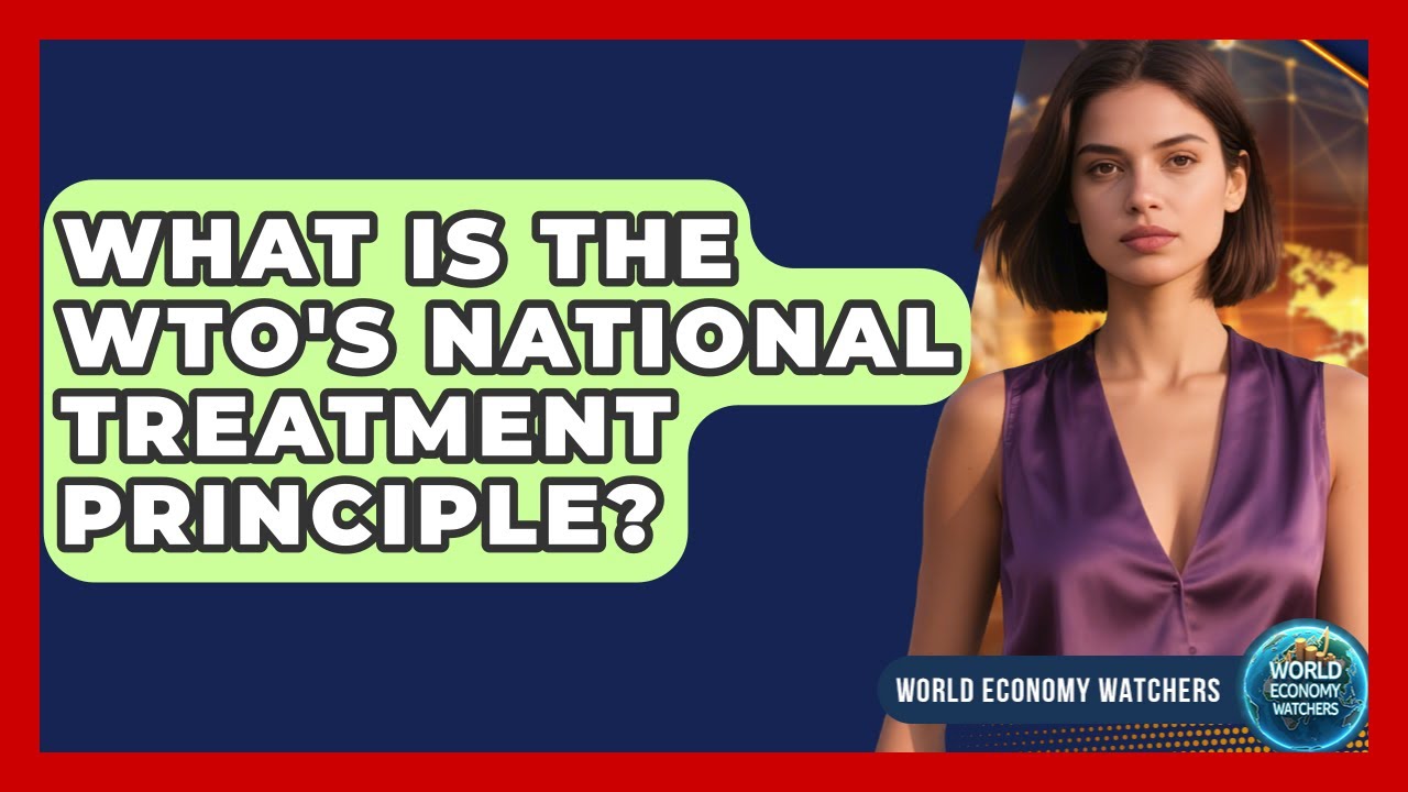 What Is The WTO's National Treatment Principle? - World Economy Watchers