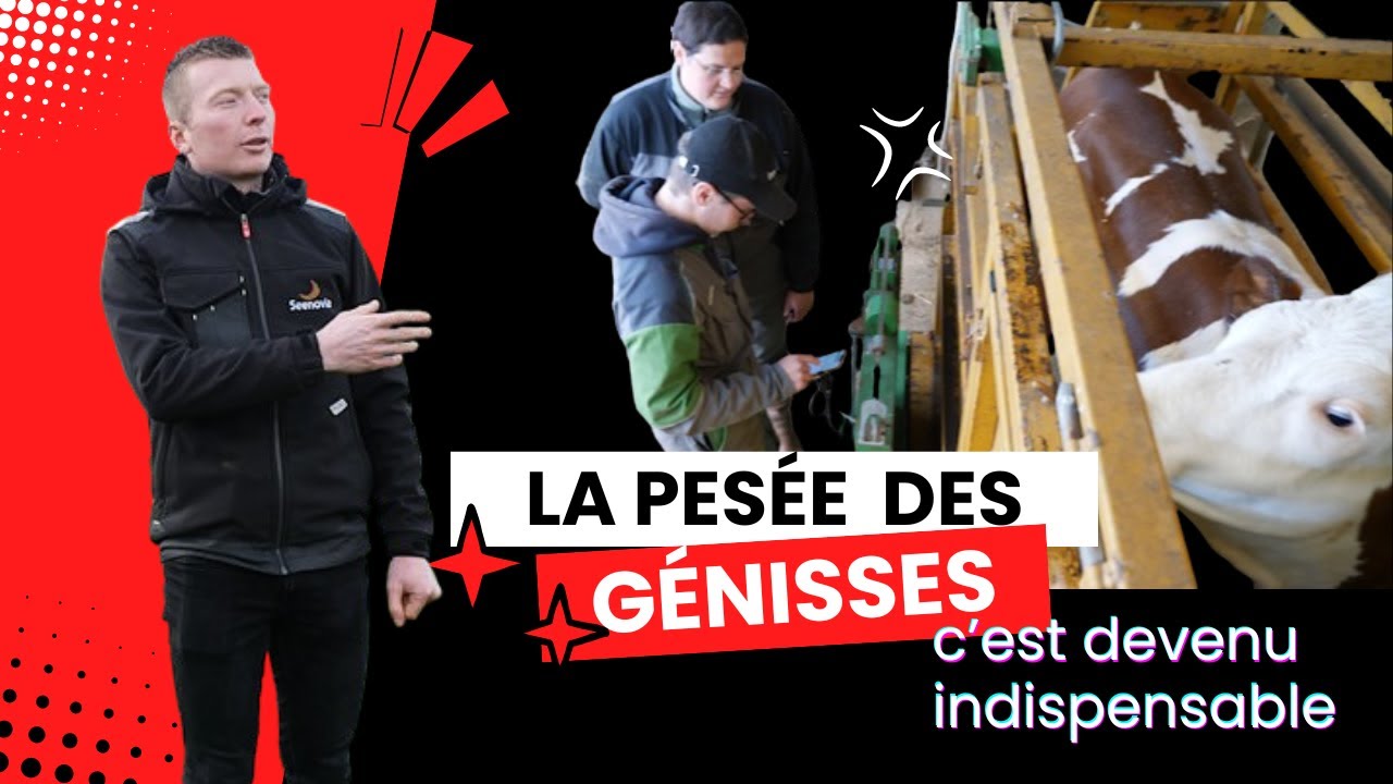 Peser,  c'est aussi un contrôle de performances