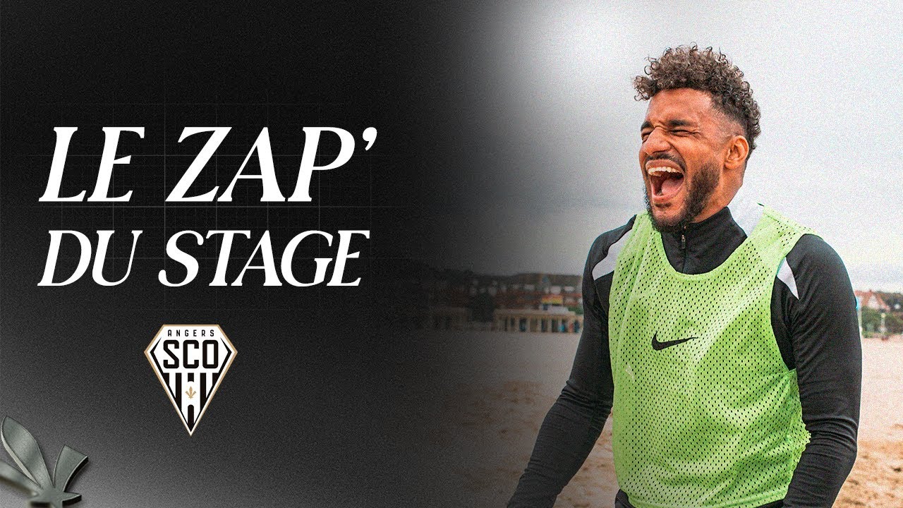 LE ZAP' DU STAGE