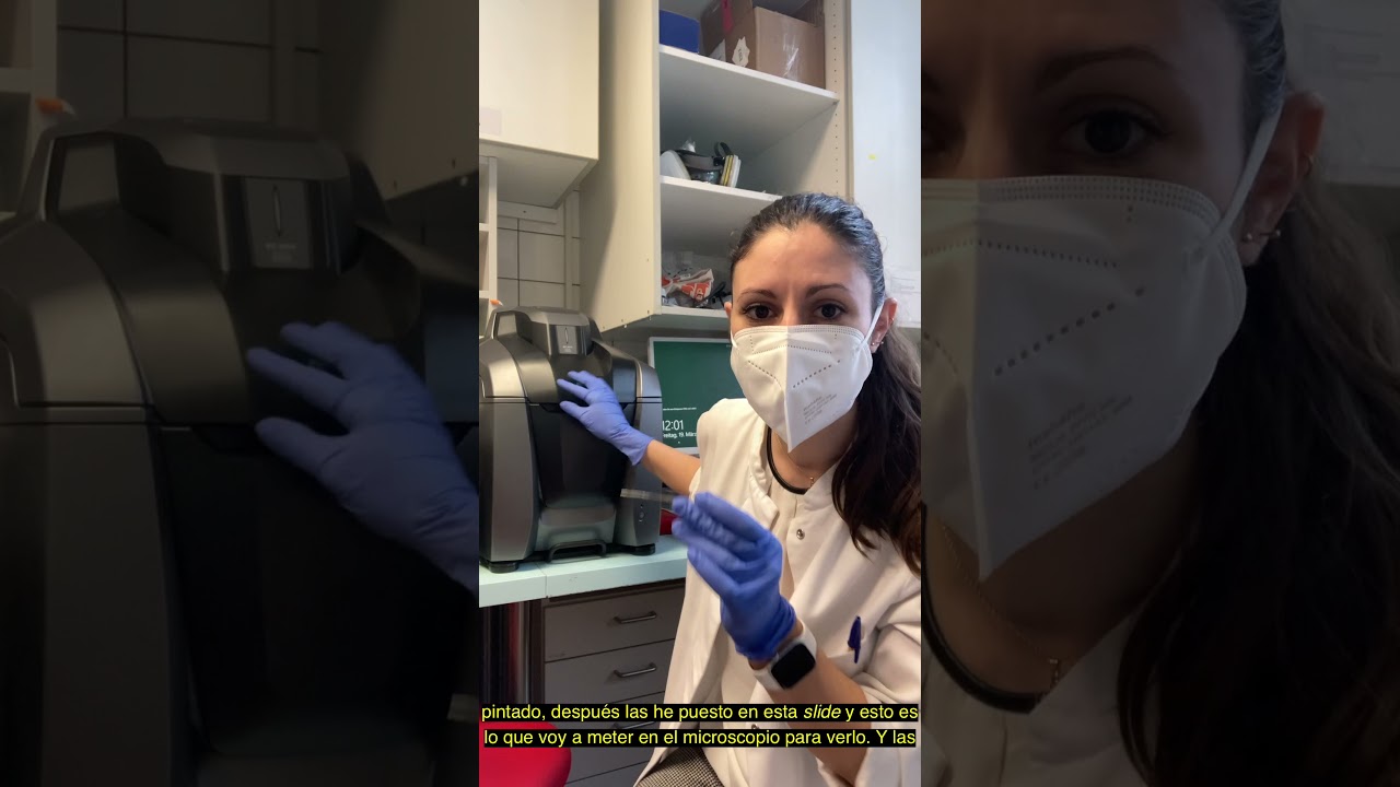 Noticias Ciencia e Investigaci&oacute;n. Labo para peques