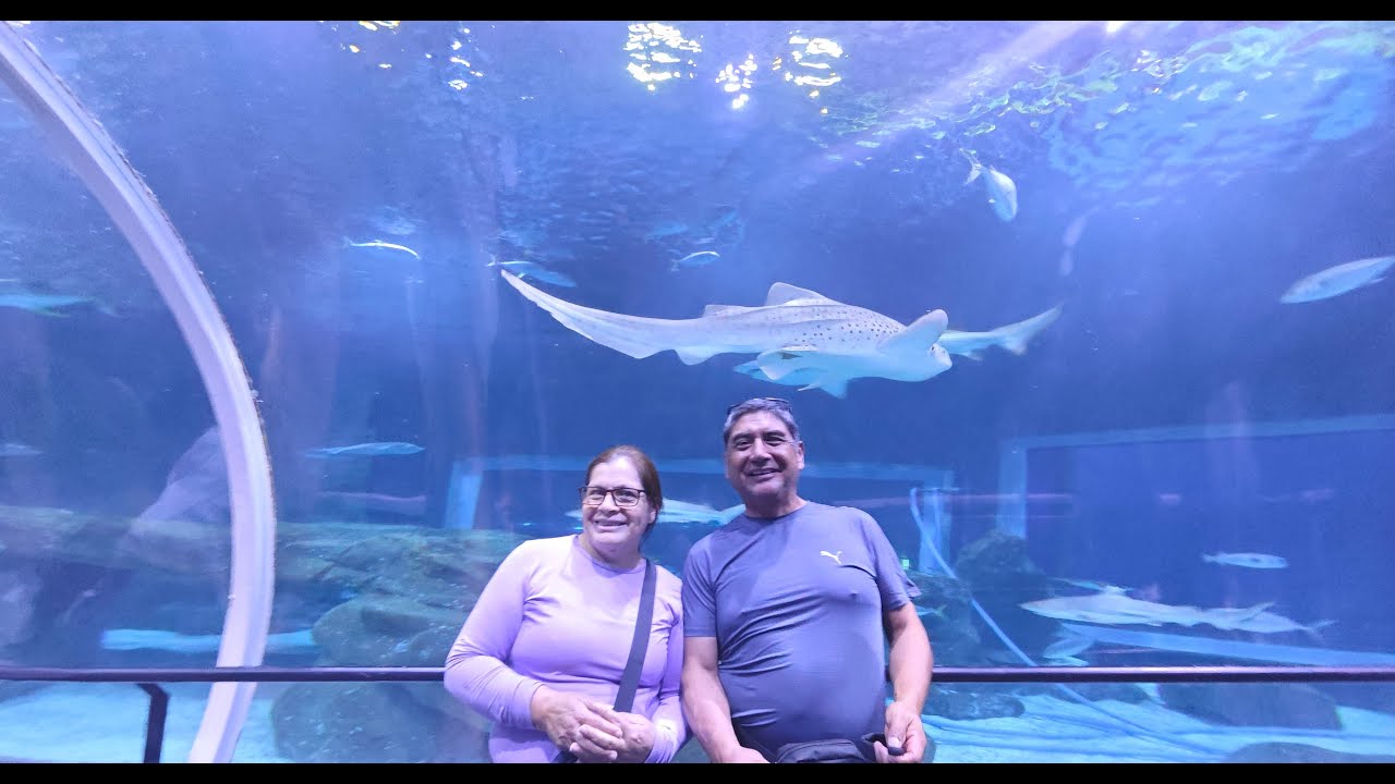 ASÍ ES AQUARIO, EN RIO DE JANEIRO