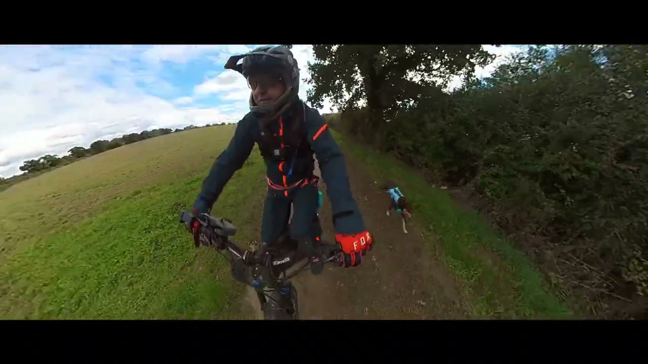Max the Kelpie MTB Trail Dog