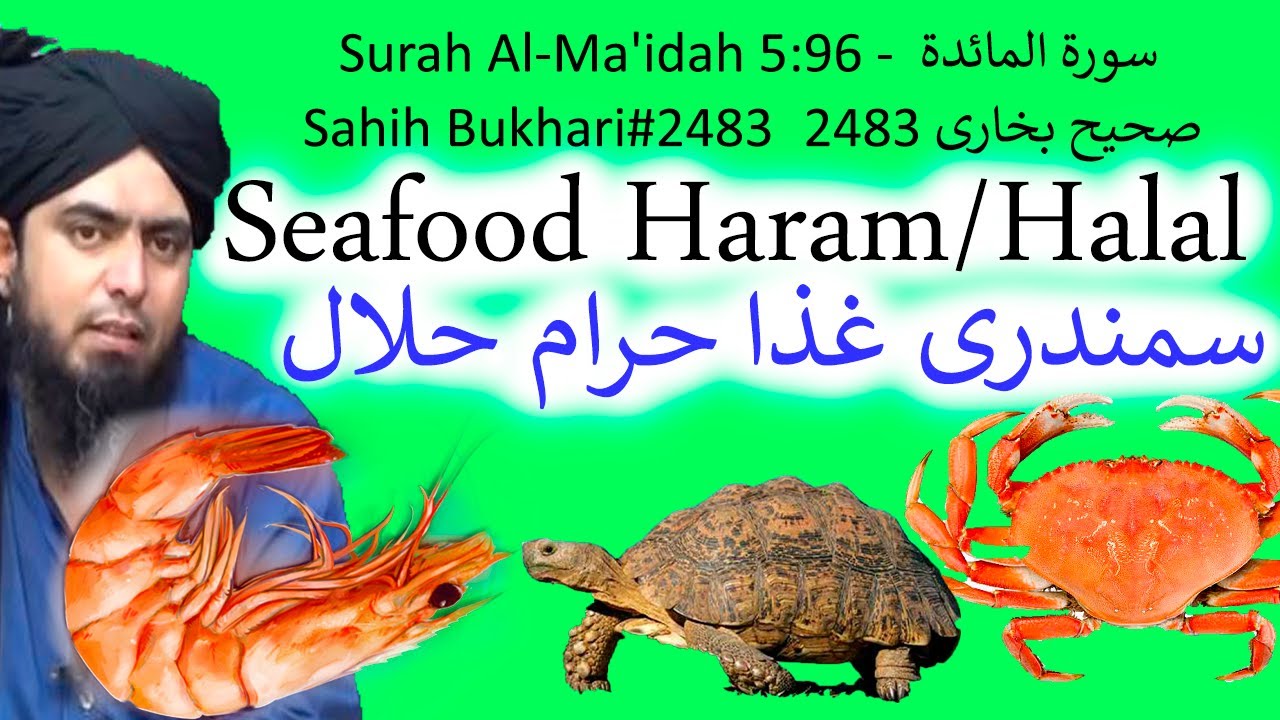 Seafood, Jhinga, Kekda, Crab , Vail fish, Haram Halal جھینگا کیکڑا | by Engineer Muhammad Ali Mirza