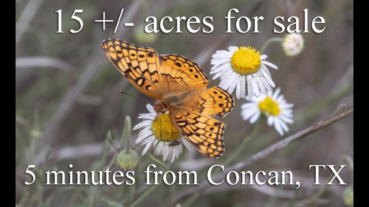 For Sale: 15 +/- acres Uvalde County, 5 minutes from Concan, TX and the Frio River.